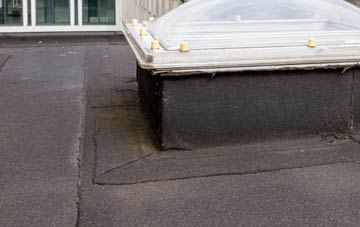 disadvantages of Dundry flat roofs