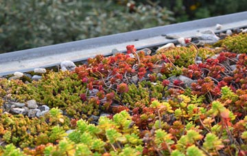 the cost of Dundry green roof installation