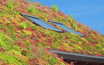 Dundry living roof systems