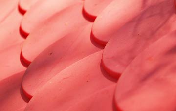 Dundry plastic roof costs